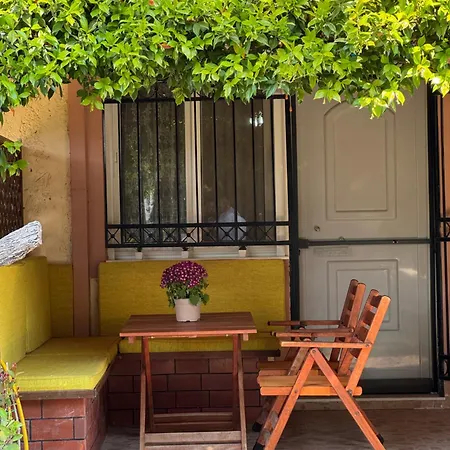 Summer Vacation 度假居 尼基季